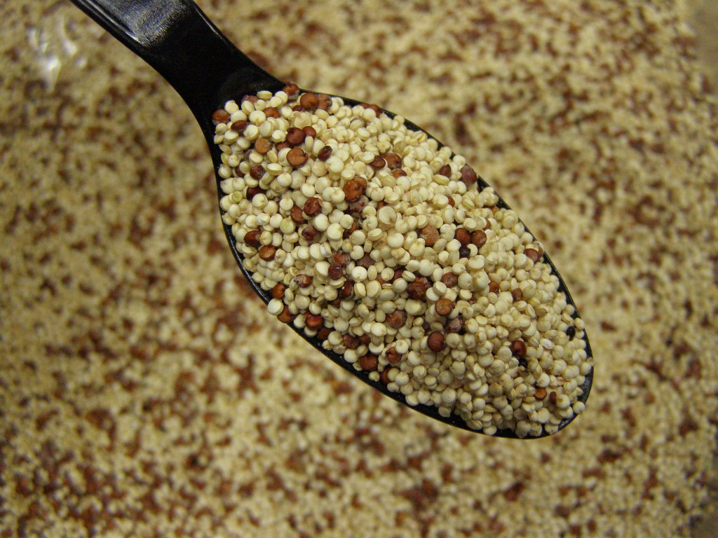 Quinoa