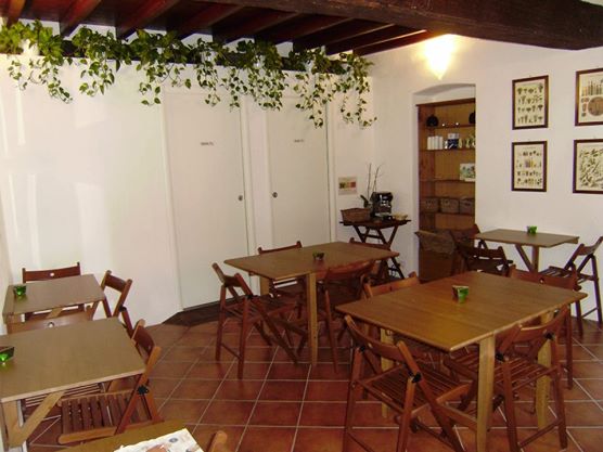 Testa di Rapa