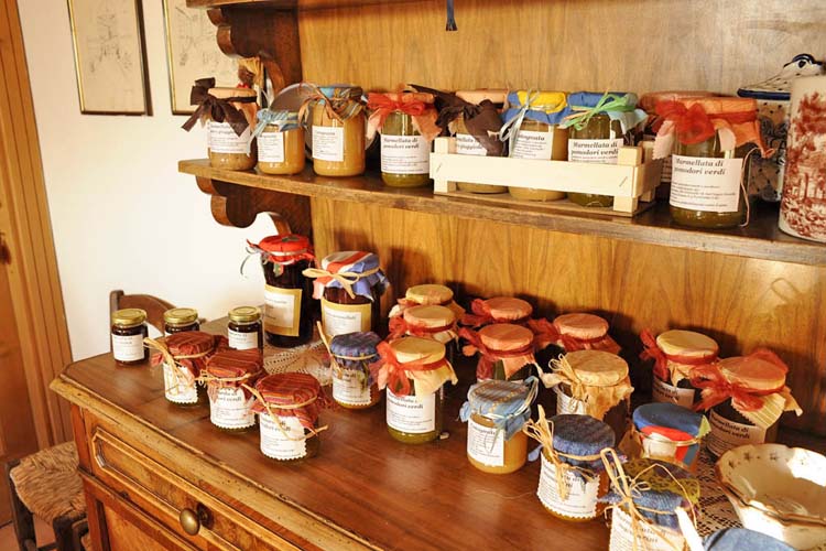 Agriturismo Torricelle