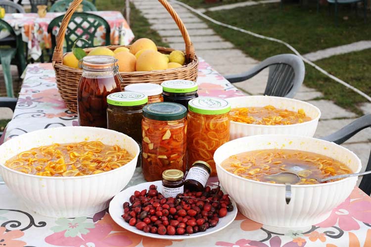 Agriturismo Torricelle