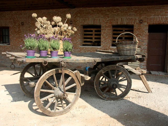 Agriturismo Vegan Albaspina Agriturismo Vegan Albaspina