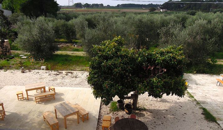 Azienda agricola Piccapane