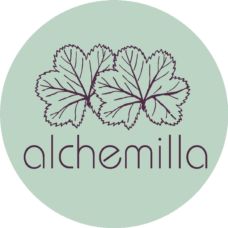 Alchemilla Alchemilla