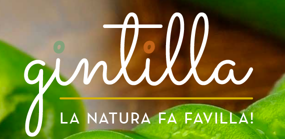 Gintilla Gintilla