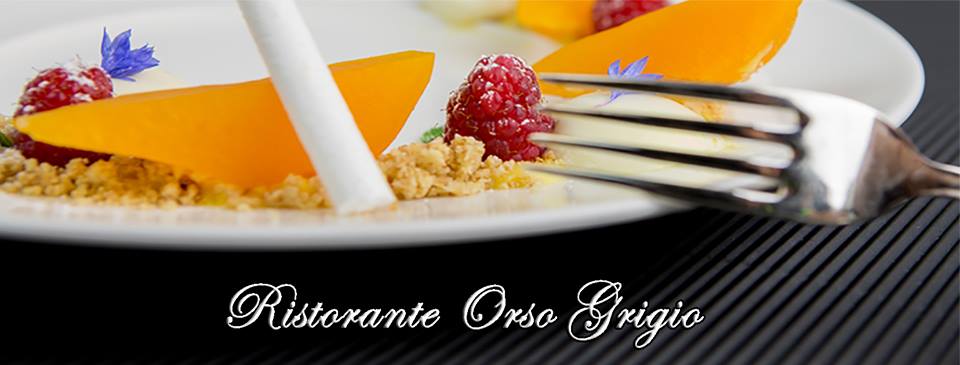 Orso Grigio