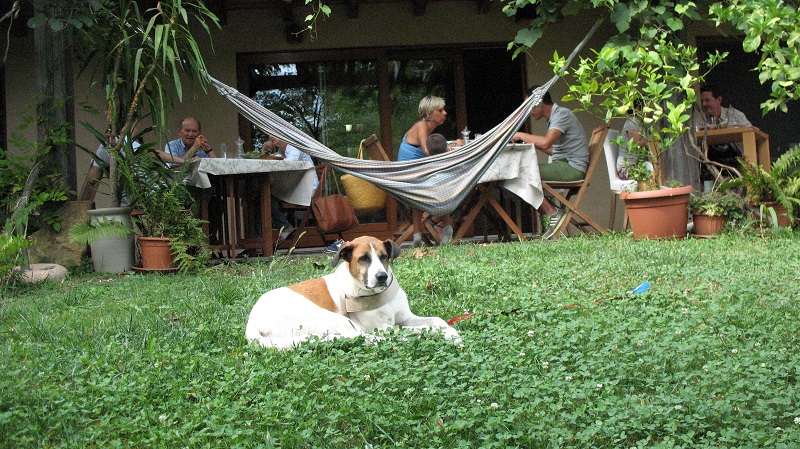 Bio Agriturismo Vegano Campo di Cielo