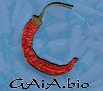 Gaia.bio