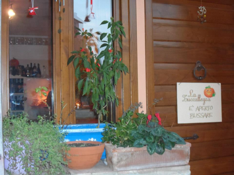 La Zuccallegra